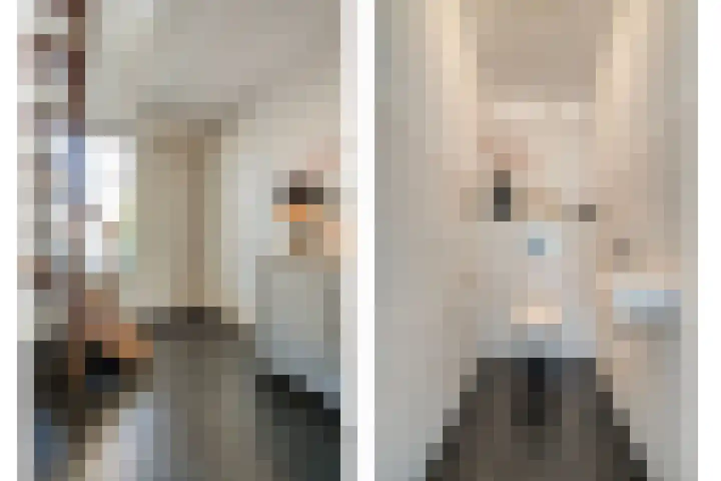 Esakkers 20 Dalfsen thumbnail 8