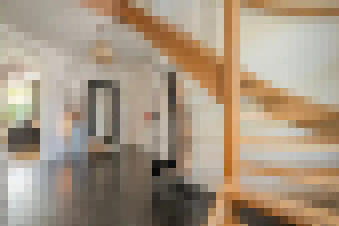 Esakkers 20 Dalfsen thumbnail 9
