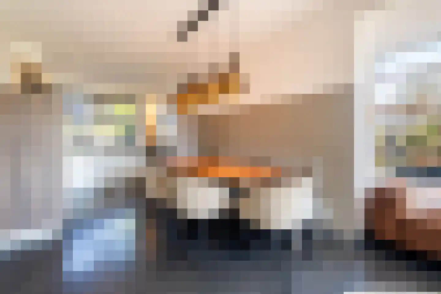 Esakkers 21 Dalfsen thumbnail 18