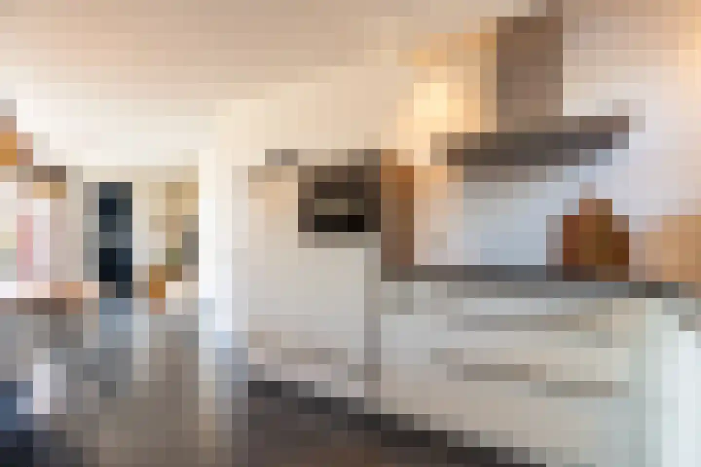 Esakkers 21 Dalfsen thumbnail 20