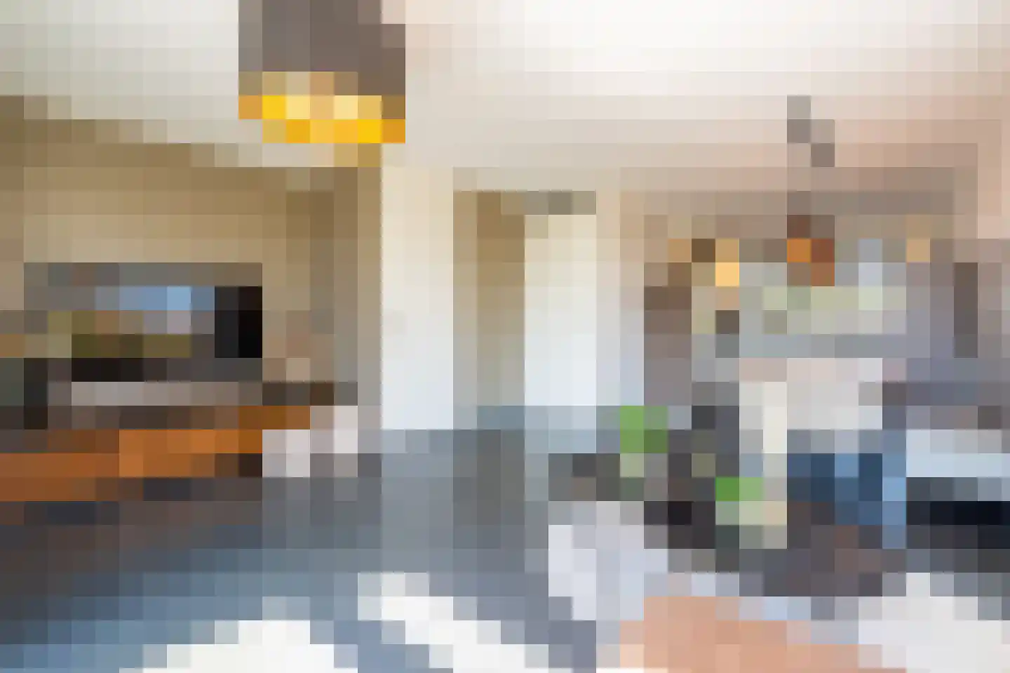 Esakkers 21 Dalfsen thumbnail 22