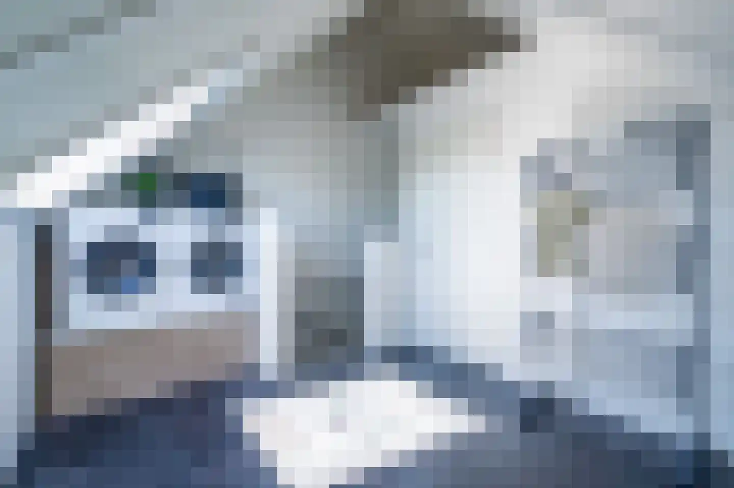 Esakkers 21 Dalfsen thumbnail 37