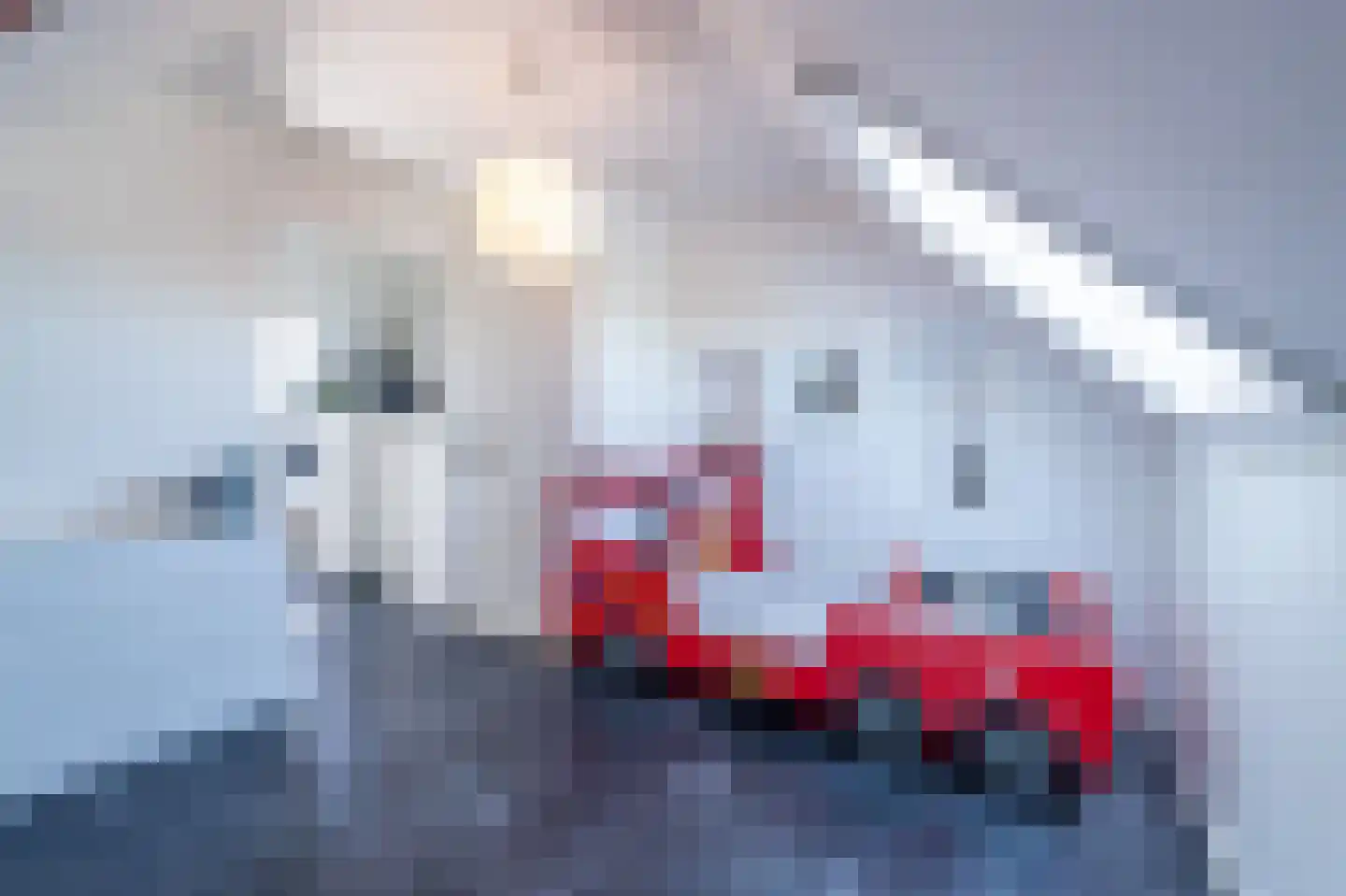 Esakkers 21 Dalfsen thumbnail 40