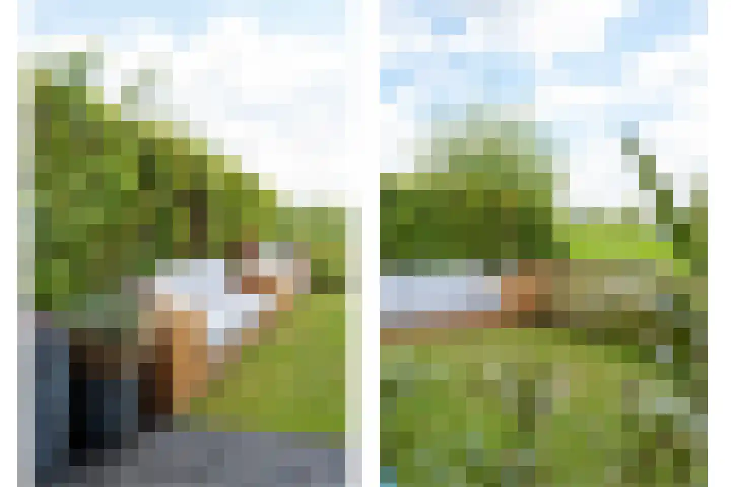 Esakkers 21 Dalfsen thumbnail 45