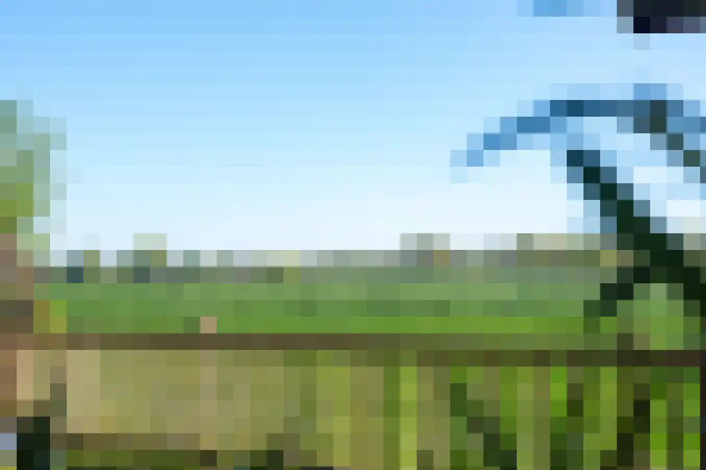 Esakkers 21 Dalfsen thumbnail 46