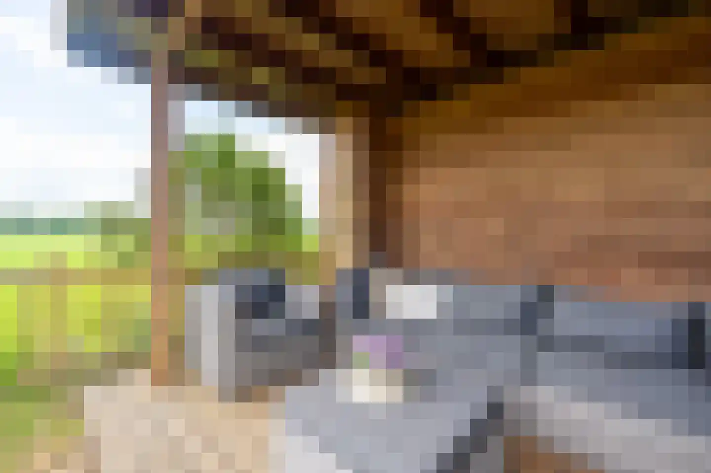 Esakkers 21 Dalfsen thumbnail 47