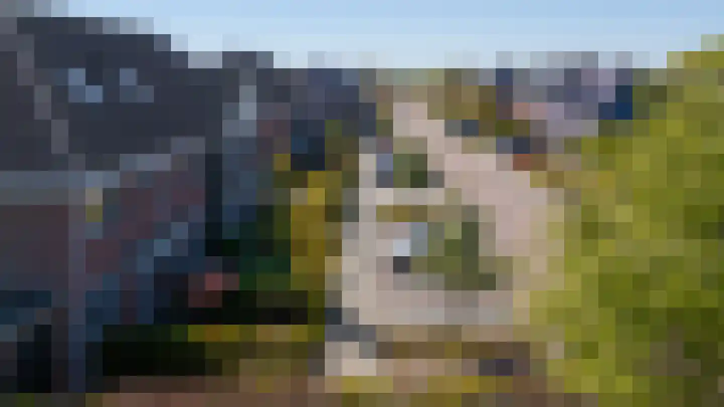 Esakkers 21 Dalfsen thumbnail 58
