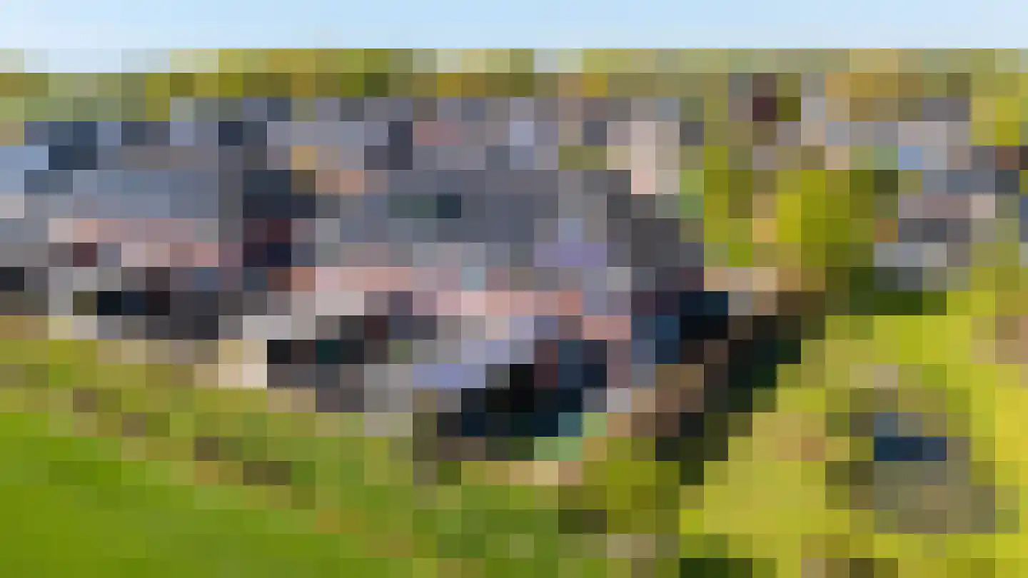 Esakkers 21 Dalfsen thumbnail 59