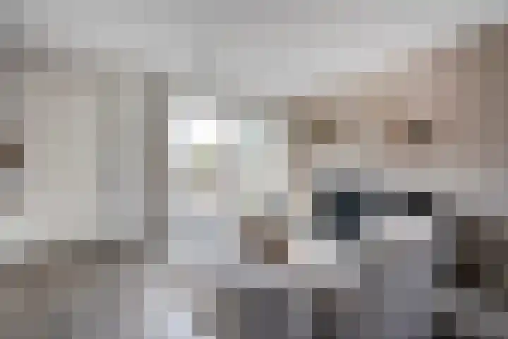 Esakkers 23 Dalfsen thumbnail 11