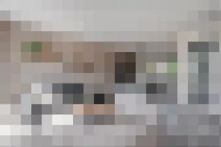 Esakkers 23 Dalfsen thumbnail 12