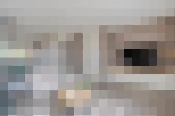 Esakkers 23 Dalfsen thumbnail 13