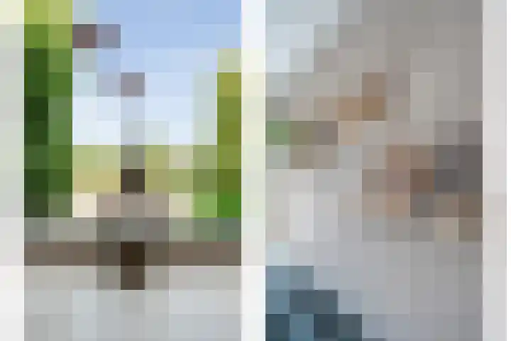 Esakkers 23 Dalfsen thumbnail 15