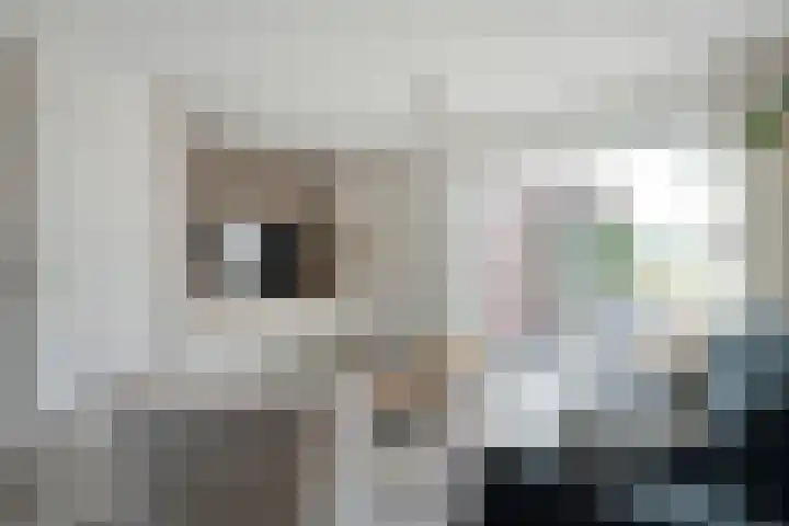Esakkers 23 Dalfsen thumbnail 17
