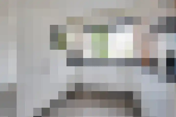 Esakkers 23 Dalfsen thumbnail 18