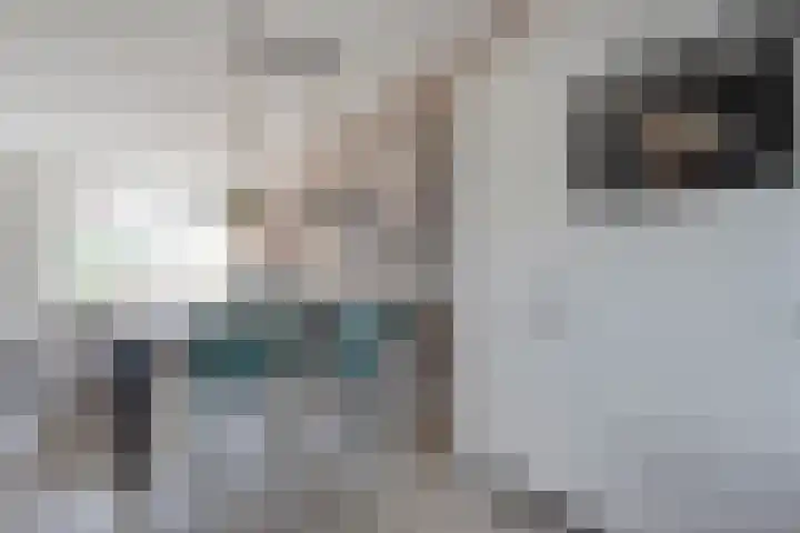 Esakkers 23 Dalfsen thumbnail 20