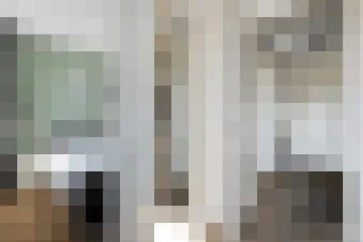 Esakkers 23 Dalfsen thumbnail 25