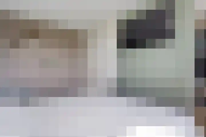Esakkers 23 Dalfsen thumbnail 26