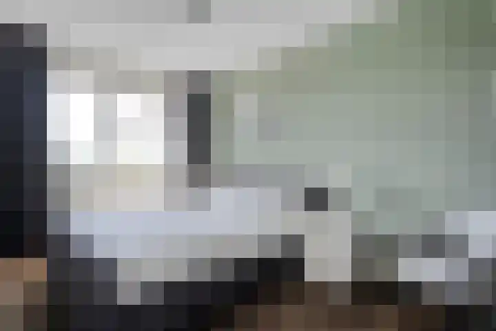 Esakkers 23 Dalfsen thumbnail 27