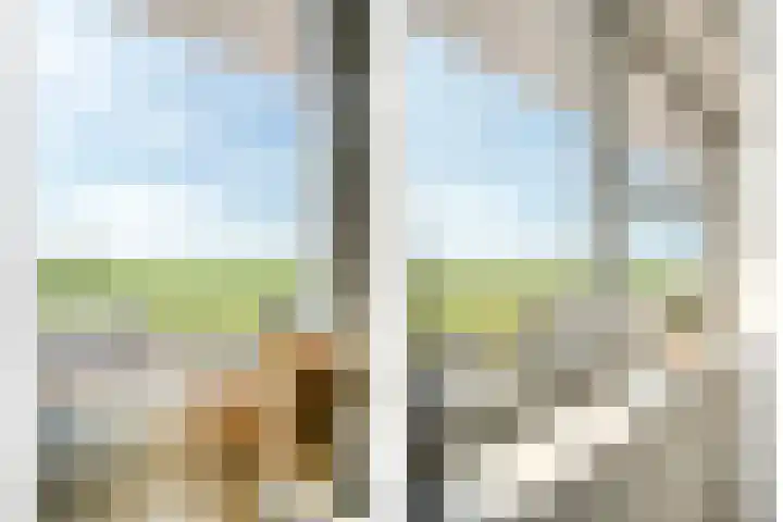 Esakkers 23 Dalfsen thumbnail 31