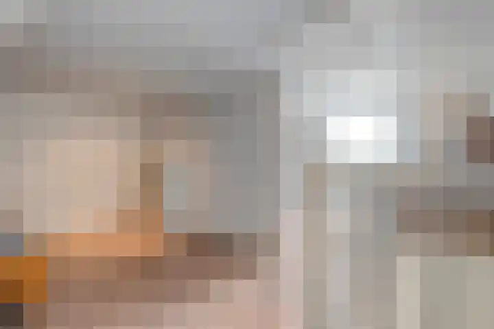 Esakkers 23 Dalfsen thumbnail 34