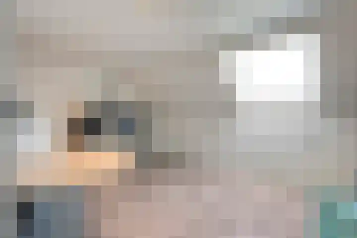 Esakkers 23 Dalfsen thumbnail 37