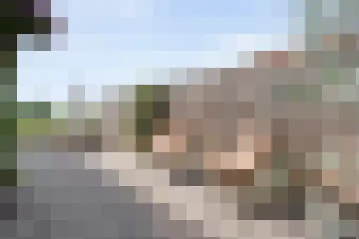 Esakkers 23 Dalfsen thumbnail 39