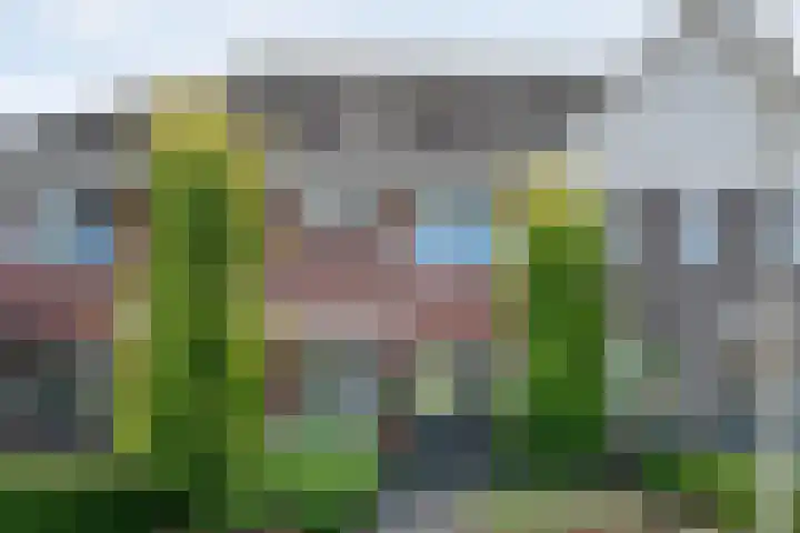 Esakkers 23 Dalfsen thumbnail 4