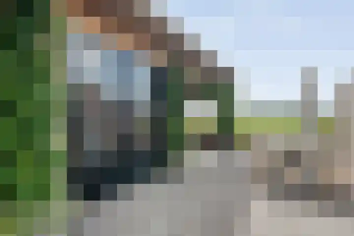 Esakkers 23 Dalfsen thumbnail 40