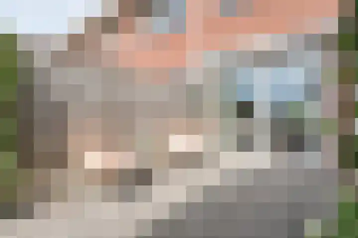Esakkers 23 Dalfsen thumbnail 41