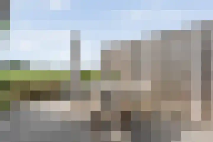 Esakkers 23 Dalfsen thumbnail 42