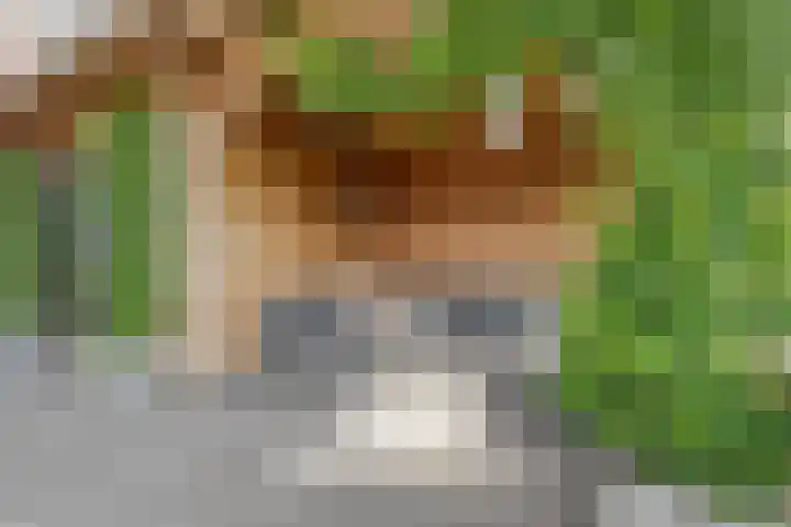 Esakkers 23 Dalfsen thumbnail 43