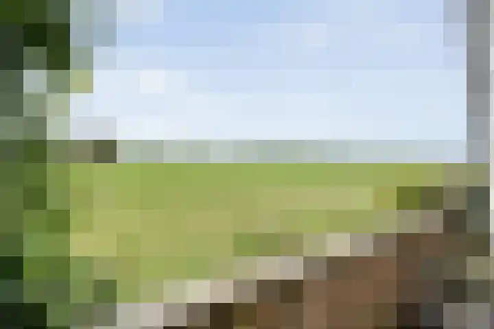 Esakkers 23 Dalfsen thumbnail 44