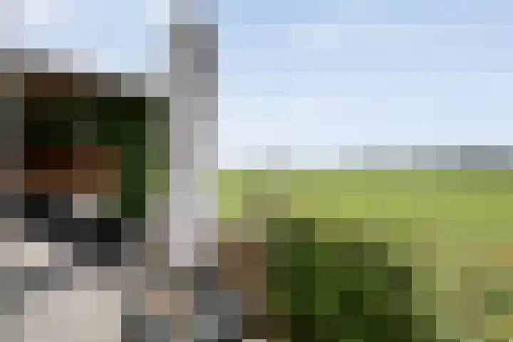 Esakkers 23 Dalfsen thumbnail 47
