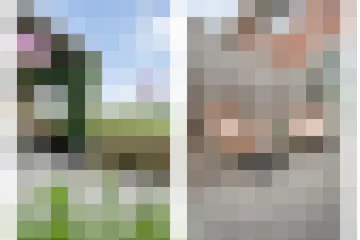 Esakkers 23 Dalfsen thumbnail 48