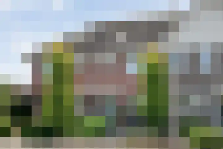 Esakkers 23 Dalfsen thumbnail 5