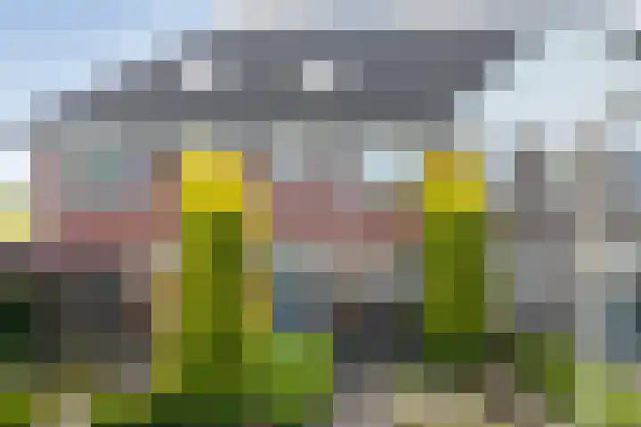 Esakkers 23 Dalfsen thumbnail 55