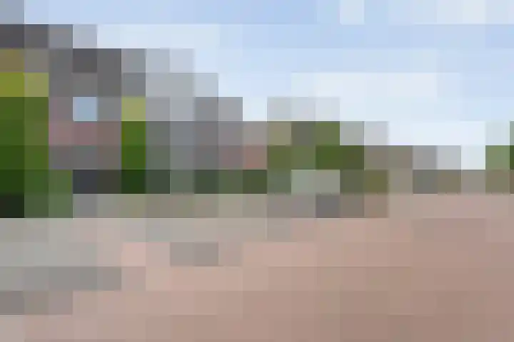 Esakkers 23 Dalfsen thumbnail 6