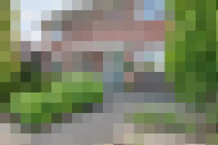 Esakkers 23 Dalfsen thumbnail 7