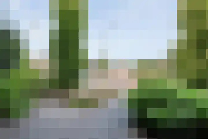 Esakkers 23 Dalfsen thumbnail 8