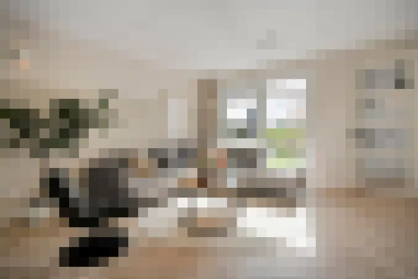 Esakkers 29 Dalfsen thumbnail 11