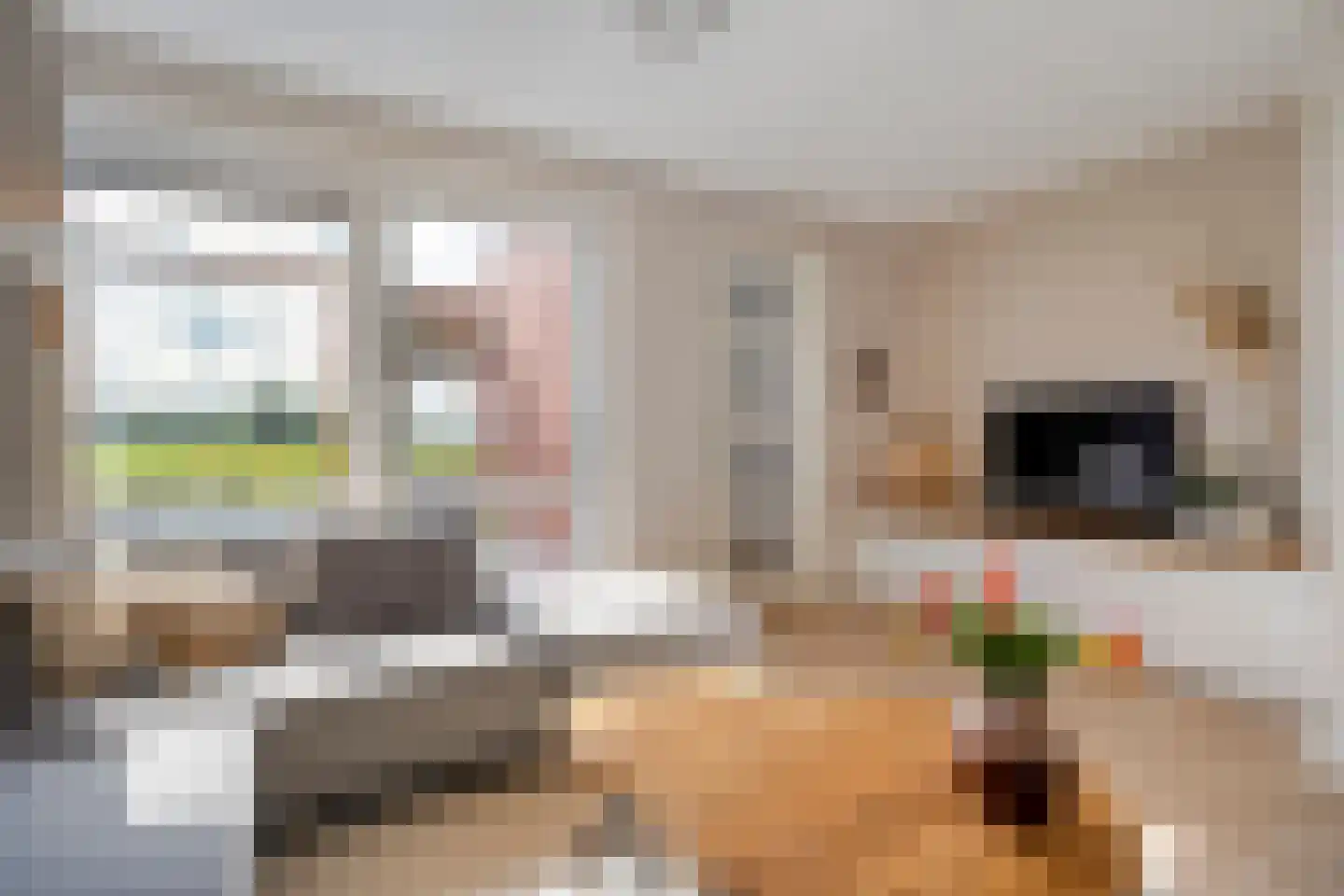 Esakkers 29 Dalfsen thumbnail 13