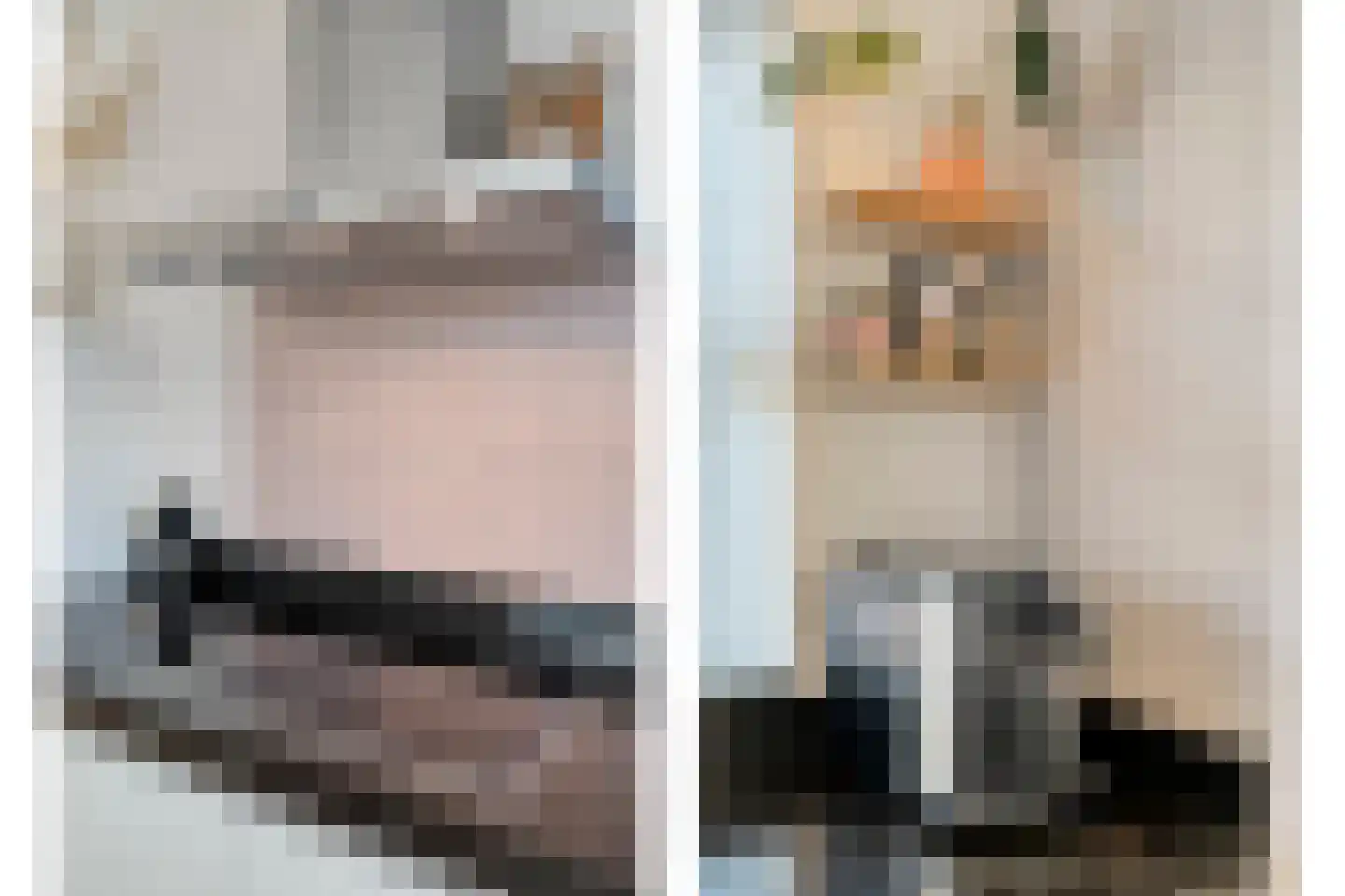 Esakkers 29 Dalfsen thumbnail 19