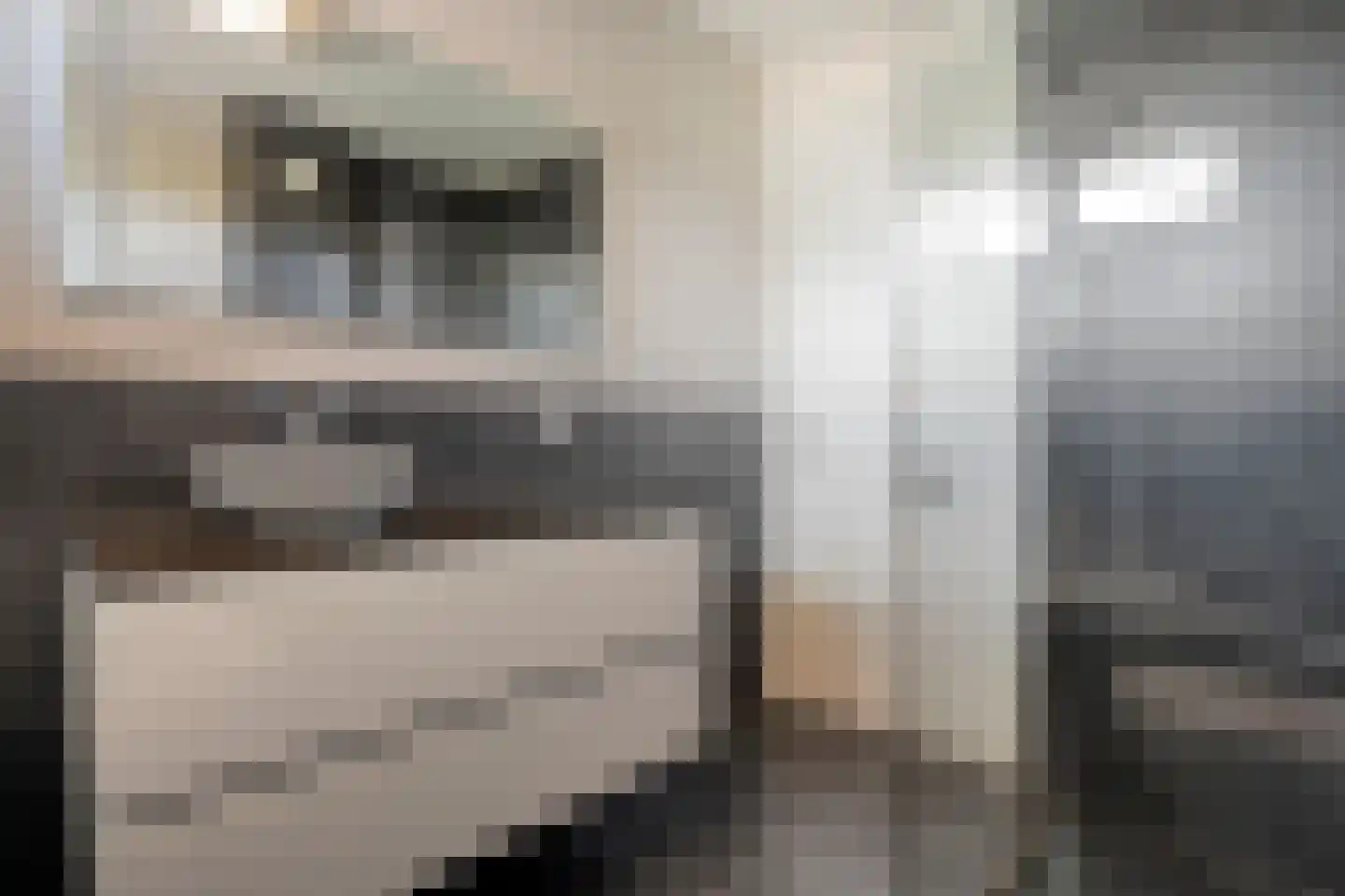 Esakkers 29 Dalfsen thumbnail 33