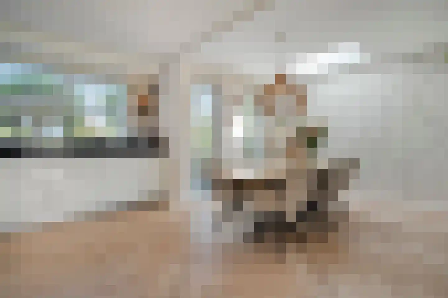 Esakkers 29 Dalfsen thumbnail 4