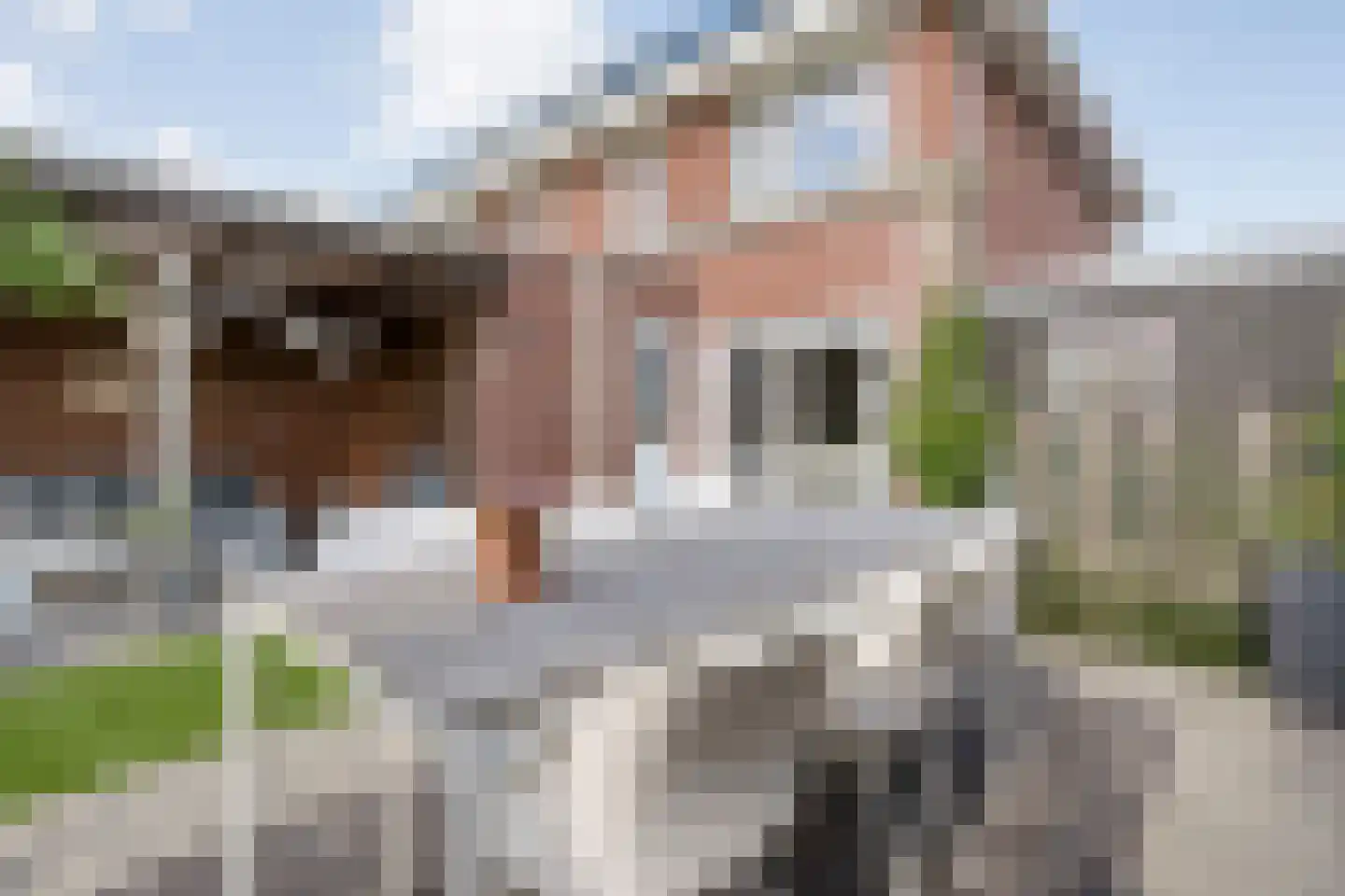 Esakkers 29 Dalfsen thumbnail 42