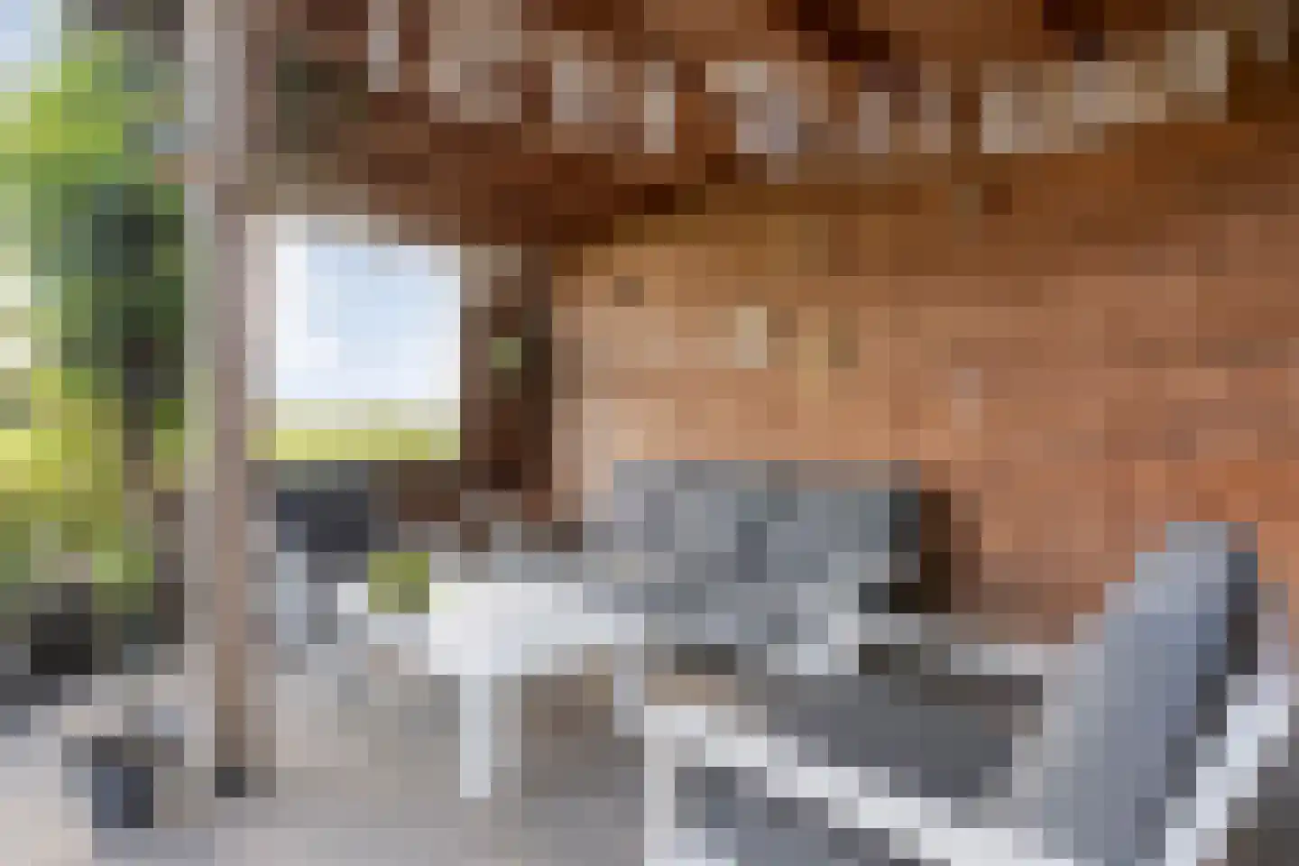 Esakkers 29 Dalfsen thumbnail 45