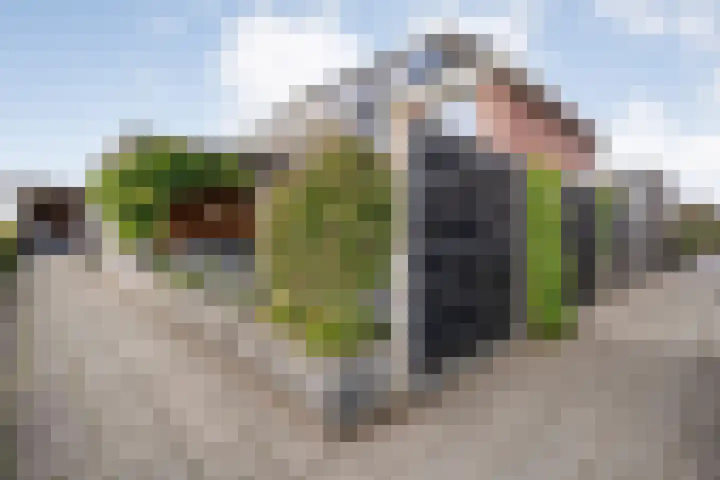 Esakkers 29 Dalfsen thumbnail 48