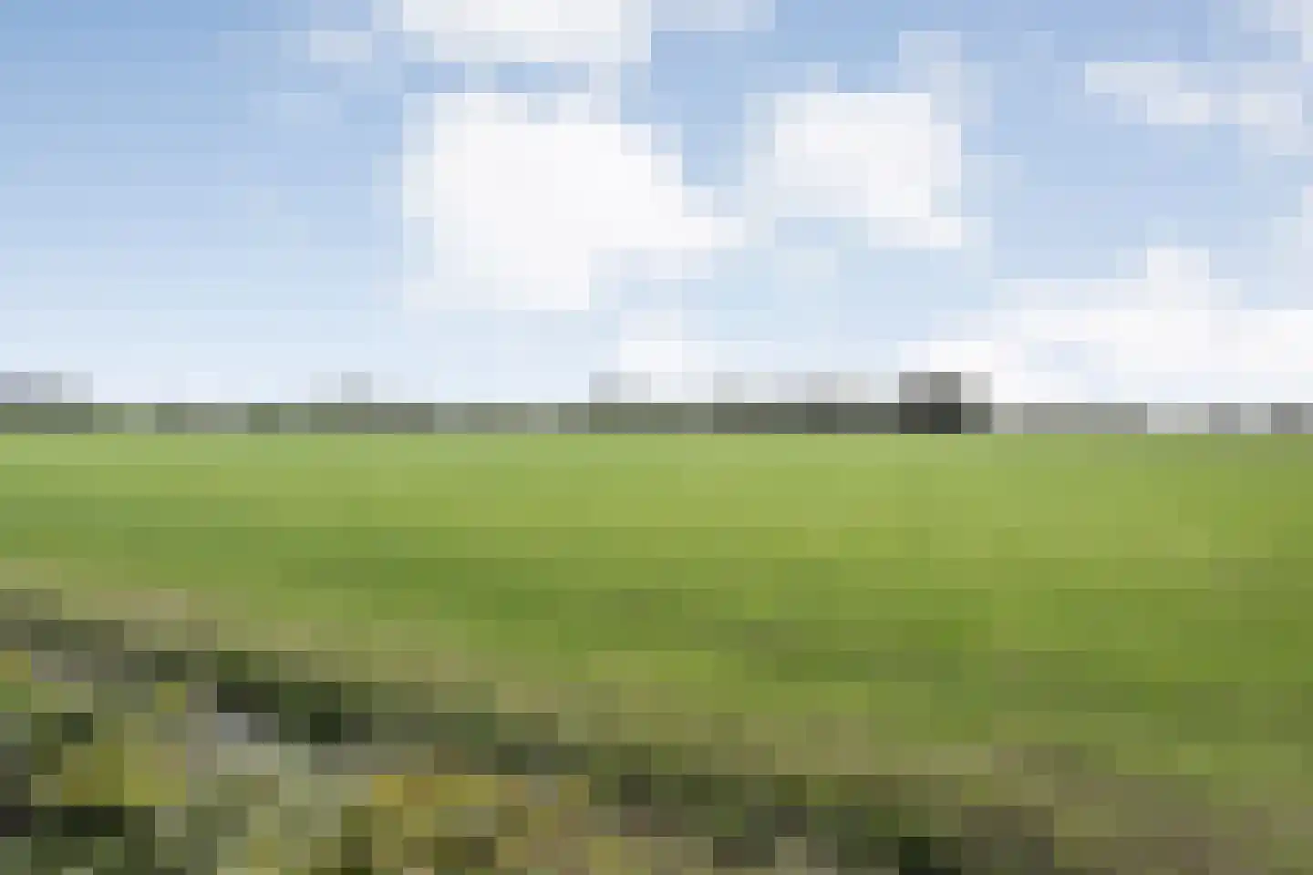 Esakkers 29 Dalfsen thumbnail 50