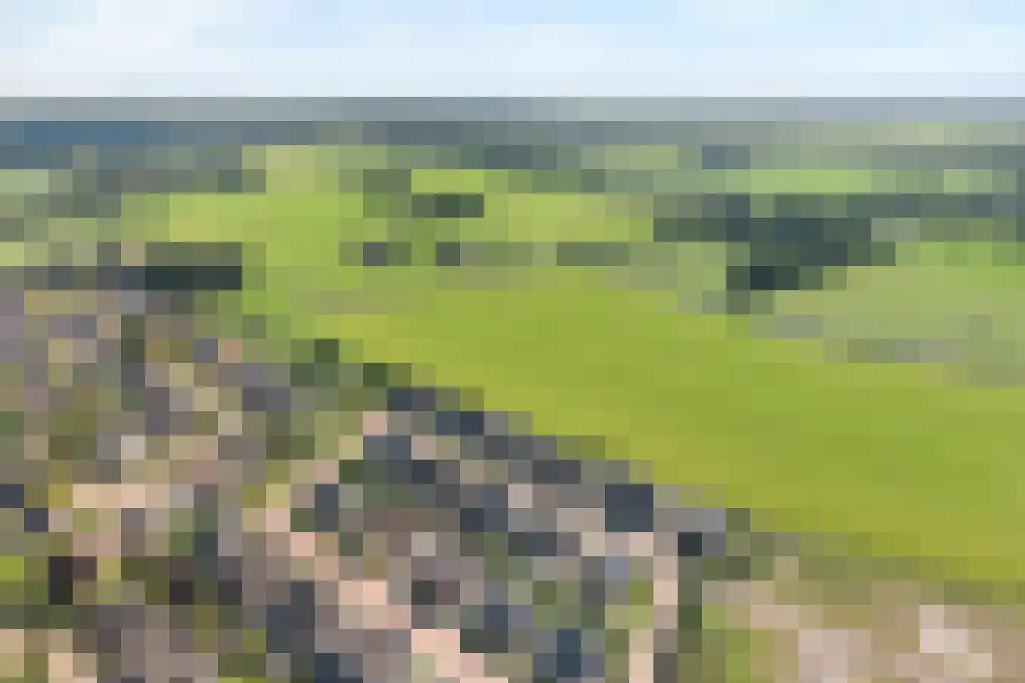 Esakkers 29 Dalfsen thumbnail 55
