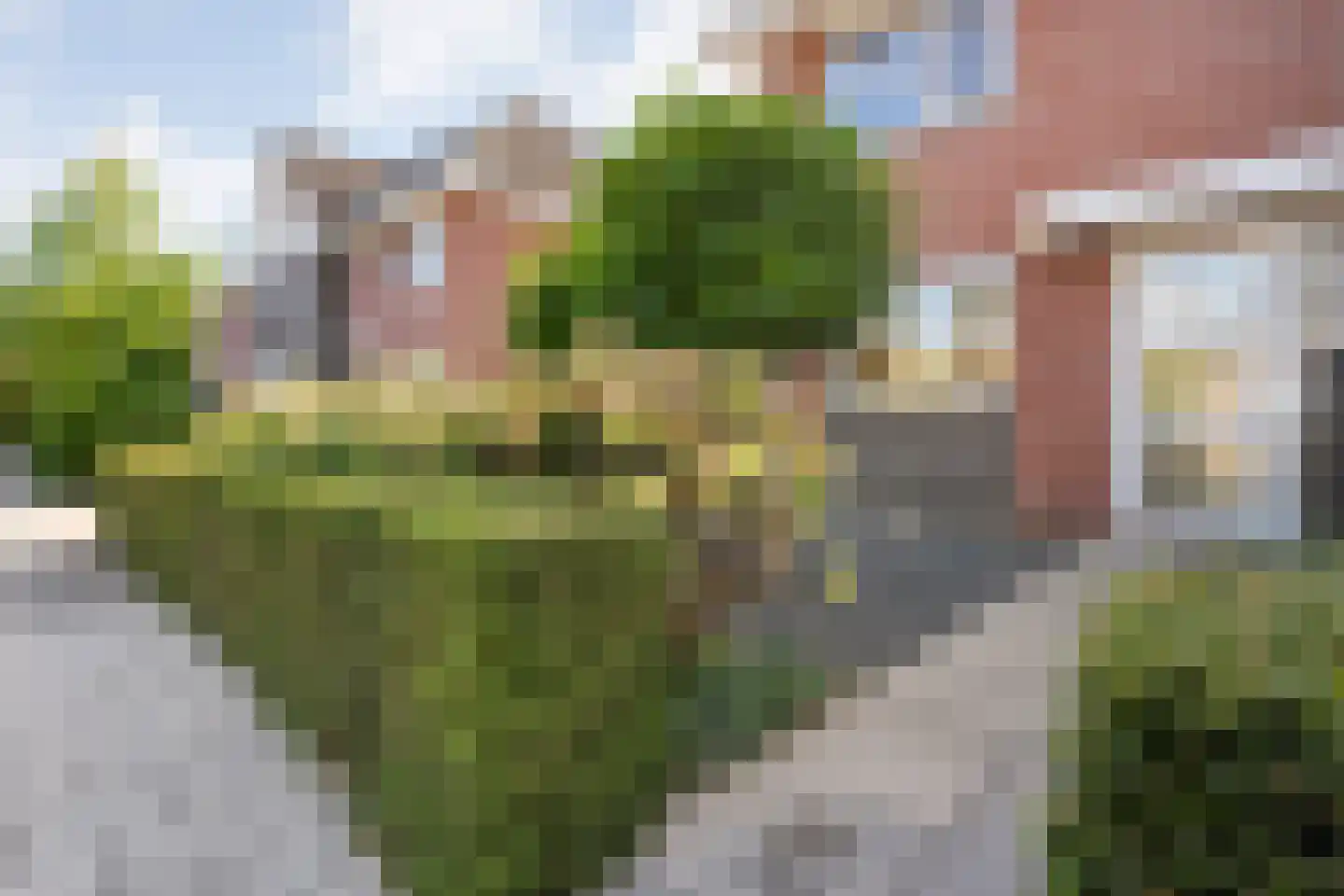 Esakkers 29 Dalfsen thumbnail 6